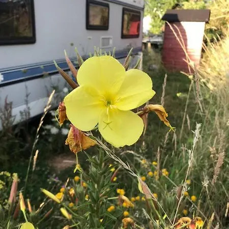 Villa Tiny House Anneliese Hunde Okay à Oberbettingen Extérieur photo