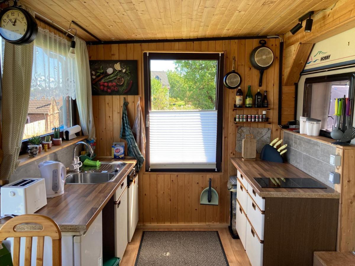 Tiny House Anneliese Hunde Okay Oberbettingen